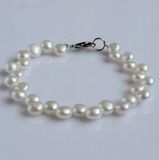 Coin Freshwater Pearl Bracelet (EB1565-1)
