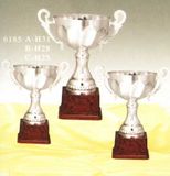 Sports Trophy