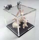 Clear Acrylic Cubic Interlocking Display Case Multi-Use Dustproof Box