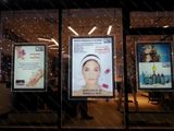 Window Hanging Crystal Panel Display (MDCLB-A3)