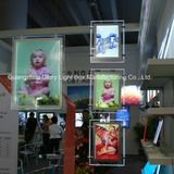 Ultra Store Real Hanging System Acrylic Light Box