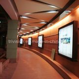 Wall-Mounted Scorlling Light Box for Indoor Advertising