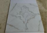 Grade a Quality White Marble with Veins /Guangxi White Marble Tiles/Slabs