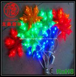 LED Pendant Light String Outdoor/LED Decorative Light