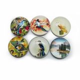 OEM Glass Crystal Fridge Magnet for Promotion Gift Hx-7193