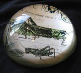 Crystal Dome Paperweight with Your Favorite Image Inside