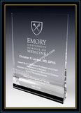 Crystal Award Plaque / Vertical Plaque 5