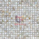 Colorful Natural Shell Mosaic (CFP081)