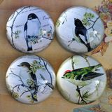 Half-Round Crystal Glass Paperweight for Home Decoration