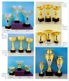Sports Trophy