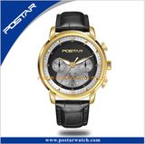 Time Display 316L Stainless Steel Case Sapphire Crystal Quartz Movement Wrist Watch