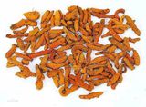 Top Quality Natural Pure Curcumol 98%