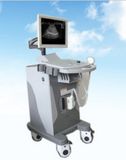 High Rate of Quantity High Resolution 3D/4D Ultrasound Fetal Doppler for Baby (YJ-U370T)