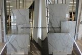 Building Material Special Natural Full Body Marble Tile
