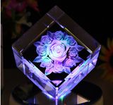 Never Withered Rose for Lover