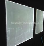 Hot Sales Hanging Laser LED Light Panel for Advertising