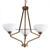 Indoor House Decorative Chandelier Hanging Lamp for Modern Style