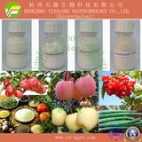 Good Quality Fungicide Chlorothalonil (97%TC, 50%SC, 720SC, 75%WP, 75%WDG)