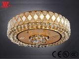 Ceiling Light with Frosted Glass Cover on Bottom