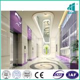 Passenger Elevator in China Sals Good