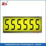 Customized Tn Positive LCD Module With Pins