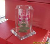 Crystal Rotatable Pencil Vase Crafts