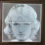 Highlight 600*600mm Acrylic LED Light Plate for Indoor Lighting