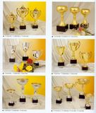 Sports Trophy