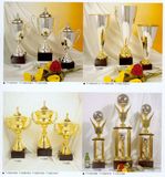 Sports Trophy