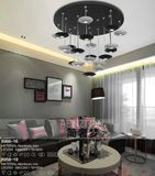 Modern Simpleness LED Decoration Light (8966-16)