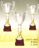 Sports Trophy