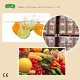 Ascorbic Acid Food Grade/Vitamin C