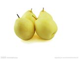 2017 Crop Good Quality Ya Pear on Sale