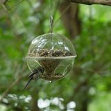 Hanging Wild Bird Feeder, Crystal Clear Acrylic