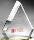 Customize Clear Trophy Polished Acrylic Souvenir