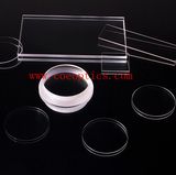 Sapphire Step Window