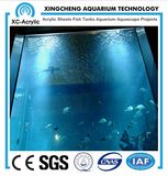 Acrylic Plastic Sheet/Clear for Life Acrylic Aquarium/Transparent Flexible Acrylic Sheet