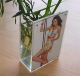 Clear Functional Acrylic Flower Vase Picture Frame