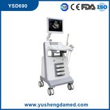 CE Approved 3D/4D Trolley Color Doppler Ultrasound System Ysd690