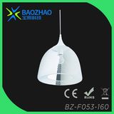 Max 60W Pendant Lamp with Iron Net