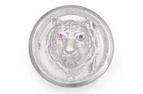 Fashion 925 Silver Jewelry with CZ