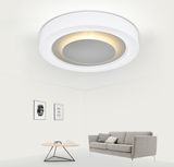 Cheap Modern Round LED Ceiling Lighting with Color Changing
