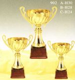Sports Trophy
