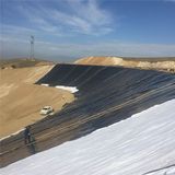 1.25mm ASTM HDPE Waterptoof Membrane of Construction Material for Reservoir