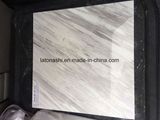 Snow White Marble with Grey Veins for Tile and Slab