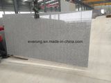 Sesame White/ Bianco Grey Color New G603 Cheap Natural Granite Slab