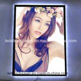 Sexy Art Light Box with Crystal LED Light Box
