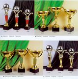 Sports Trophy