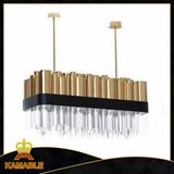 Hanging Light Fixture Fancy Modern Pendant Light (KAP6039)