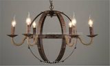 Phine Home or Hotel Decorative Metal Pendant Lamp